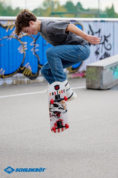 SCHILDKRÖT FUN SPORTS Skateboard GRINDER 31´ Wolf